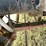 #1003-•-mack-rs700-(wagon-mound,-nm)-(nm-title-in-delay)-image-12