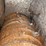 #150-•-montgomery-hog--grinder-image-4