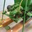 john-deere-e-1-1/2hp-engine-image-17