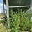 #5493-•-metal-feed-bin-image-12