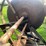 #5478-•-new-idea-pto-driven-buzz-saw-image-24
