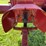 1949-farmall-c-image-36