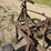 international-4-bottom-plow-image-8
