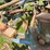#5552-•-melroe-(5)-bottom-plow-image-33
