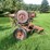 #5478-•-new-idea-pto-driven-buzz-saw-image-4