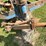 #5552-•-melroe-(5)-bottom-plow-image-7