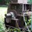 #150-•-montgomery-hog--grinder-image-13