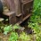 #150-•-montgomery-hog--grinder-image-27