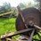 #5478-•-new-idea-pto-driven-buzz-saw-image-29