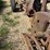 international-4-bottom-plow-image-6