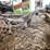 #5529-•-old-push-cart-image-7