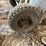 #5511-•-torch-set-on-cart-image-9