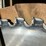 #167-•-circle-saw-blade-image-2