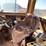 #1009-•-large-loader-(alamogordo,-nm)-image-13