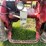 #5456-•-mccormick-ih-farmall-super-a-image-18
