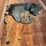 #110-•-#27029-•-2017-hi-bilt-hi-dump-23'-s/a-dump-trailer-vin:-5c2bb24bxhm010082-image-30