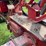 1947-farmall-h-image-36