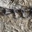 #5524-•-tractor-tire-chain-image-3