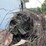 #5497-•-scrap-iron-pile-image-11