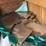 #220-•-accu-cut-4x36-edger-image-43