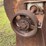 #160-•-dixie-ee-blower-image-9