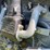 minneapolis-moline-twin-city-jts-image-22