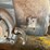 #143-•-dewalt-sliding-arm-saw-image-5