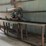 #143-•-dewalt-sliding-arm-saw-image-3