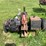 #5489-•-heavy-duty-log-splitter-on-wheels-image-6