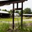 #152-•-cornell-barn-sweep-image-9