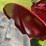 1949-farmall-c-image-30
