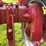 1944-farmall-hv-image-45