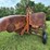 ac-#40-pull-type-combine-image-21