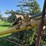 #5477-•-28'-mayrath-grain-elevator-image-7