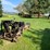 #5482-•-homemade-heavy-duty-log-splitter-image-3