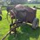 #5480-•-agc-3-1/2-s-gas-powered-cement-mixer-image-1