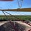 westfield-100-81-auger-image-15
