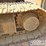 2016-caterpillar-336fl-image-10