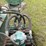 #158-•-tyrone-berry-carriage-drive-image-11