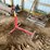 #5518-•-1,000-lb-capacity-engine-stand-image-3
