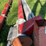 unload-augers-image-15