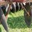 kewanee-150-image-17