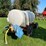 #5475-•-1000-gallon-poly-tank-on-knowles-running-gear-image-3