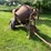 #5480-•-agc-3-1/2-s-gas-powered-cement-mixer-image-2