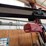 steel-i-beam-jib-crane-w/dayton-hoist-image-3