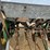john-deere-11-image-12