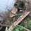 #5497-•-scrap-iron-pile-image-12