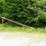 #152-•-cornell-barn-sweep-image-2
