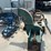 #127-•-brewer-3-head-golden-eagle-resaw-image-26