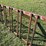10’-adjustable-steel-sorting-gate-image-7
